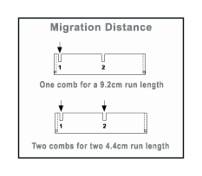 Owl™ D2 Wide-Gel Electrophoresis System Combs