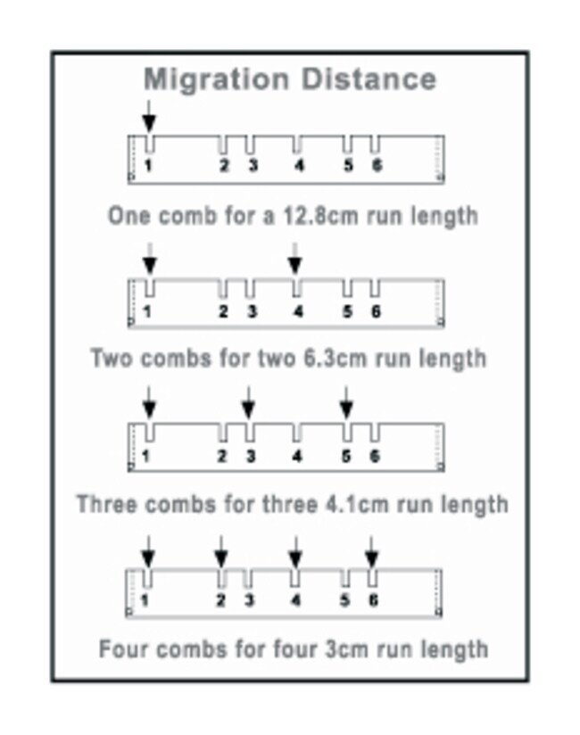 D3-14, A3-1 and A6 Wide Gel Electrophoresis System Wall Comb, 1 Tooth