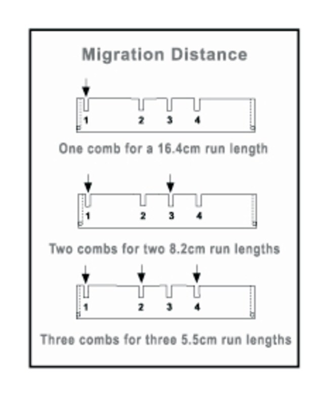 Owl&trade; D4 水平电泳系统电泳梳