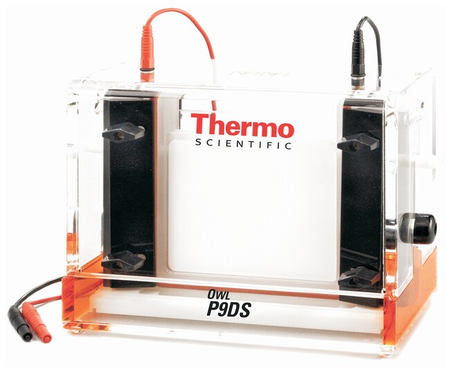 P9DS 双凝胶系统侧夹