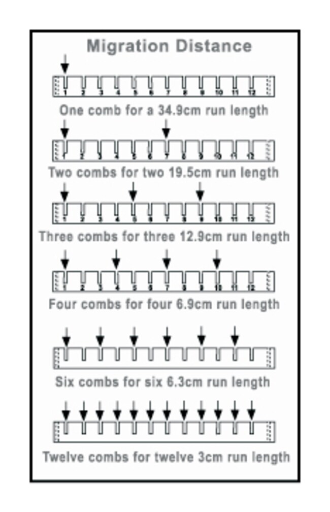 D3-14、A3-1 和 A6 宽型凝胶电泳系统壁梳,1齿