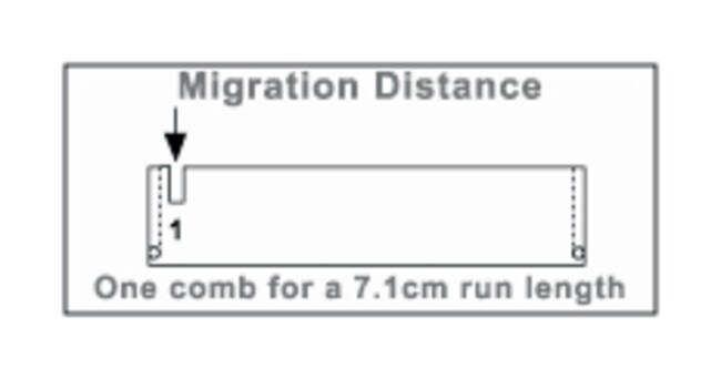Owl&trade; C2-S 微型电泳系统电泳梳