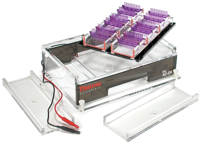 Owl&trade; A2-OK 多重凝胶电泳系统