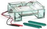 Owl&trade; EasyCast&trade; B2 微型凝胶电泳系统