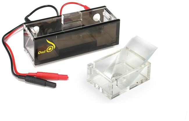 Owl&trade; C2-S 微电泳系统