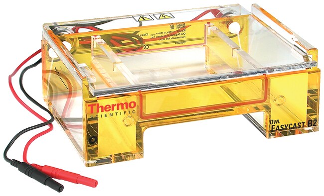 Owl&trade; EasyCast&trade; B2 微型凝胶电泳系统