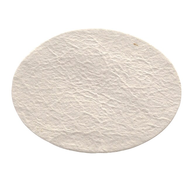 Nalgene&trade; Membrane and Prefilter Disks