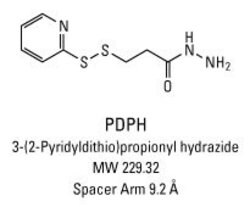 Chemical structure of PDPH crosslinking reagent