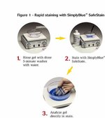 SimplyBlue&trade; SafeStain