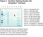 SimplyBlue&trade; SafeStain