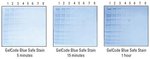 GelCode&trade; Blue Safe Protein Stain