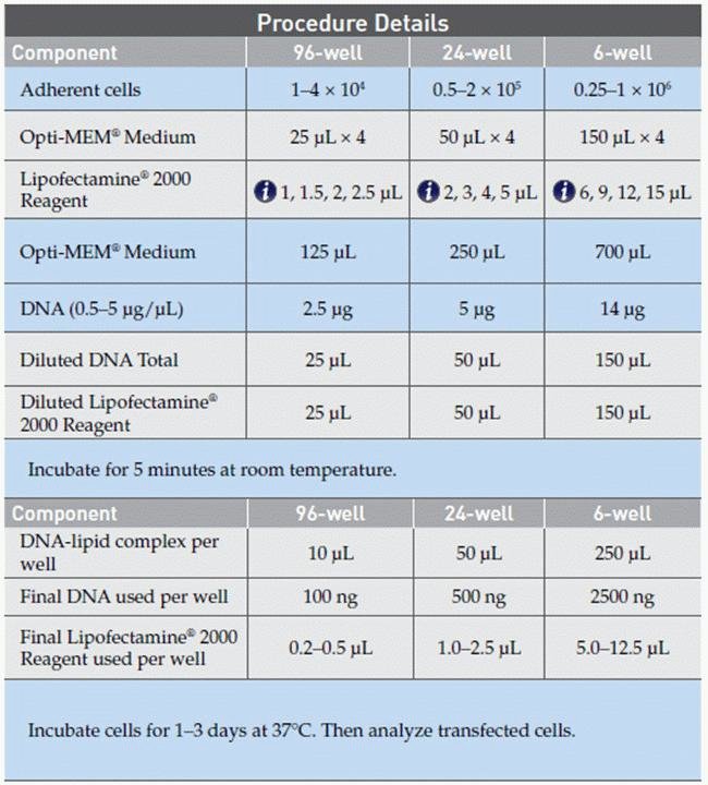 lipofectamine642000转染试剂