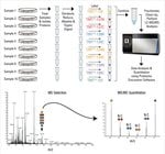 TMT10plex&trade; 同量异位标记试剂和试剂盒