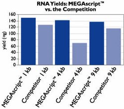 Mass Amounts of RNA Transcripts Produced by Two Distinct Transcription Systems