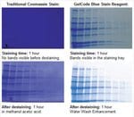 GelCode&trade; Blue Stain Reagent