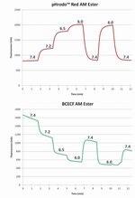 pHrodo&trade; Red and Green AM Intracellular pH Indicator Dyes