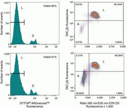 Multiparameter apoptosis assay.