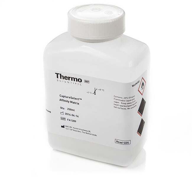 CaptureSelect&trade; FcXP 亲和基质