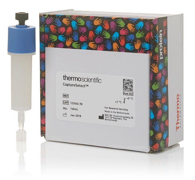 CaptureSelect™ KappaXP Pre-packed Column