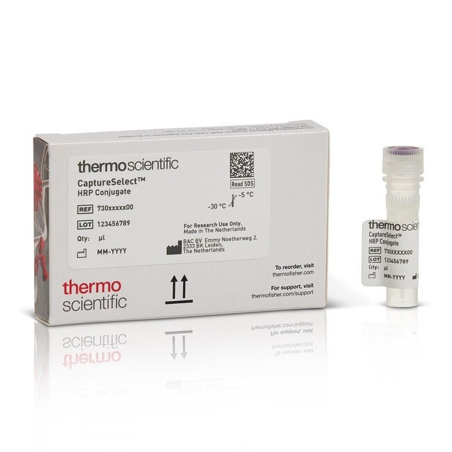 CaptureSelect™ HRP Anti-CD63 Conjugate