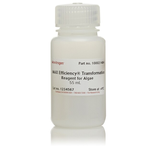 MAX Efficiency&trade; Transformation Reagent for Algae
