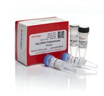 <i>Taq</i> DNA 聚合酶（重组）