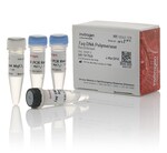 <i>Taq</i> DNA Polymerase, recombinant