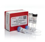 <i>Taq</i> DNA Polymerase, recombinant