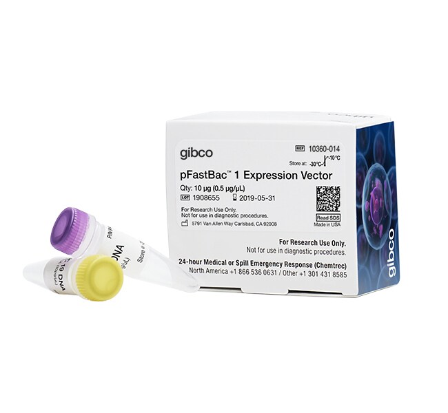 Bac-to-Bac&trade; 载体试剂盒