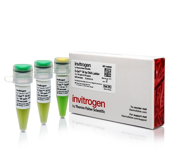 E-Gel&trade; 50 bp DNA Ladder