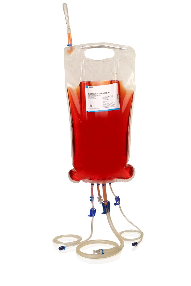 DMEM, high glucose, GlutaMAX™ Supplement, HEPES