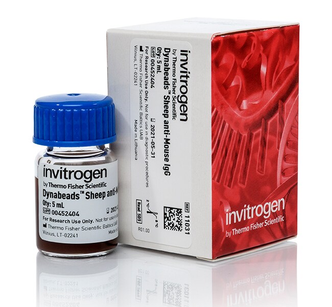 Dynabeads&trade; Sheep-Anti Mouse IgG