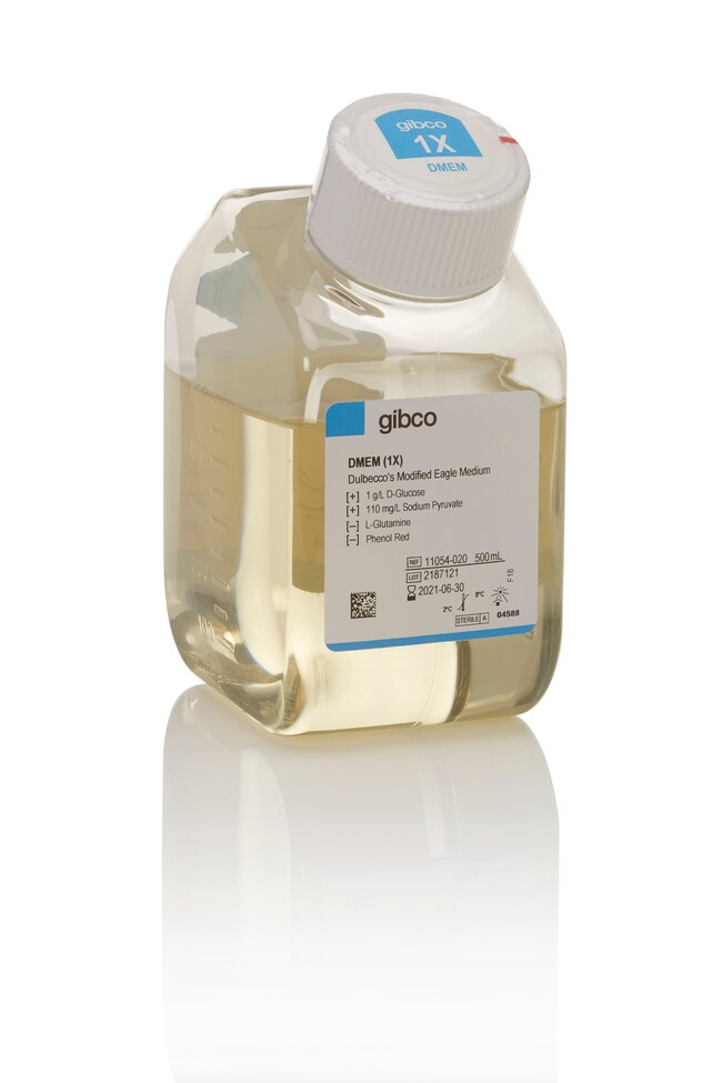 DMEM, low glucose, pyruvate, no glutamine, no phenol red