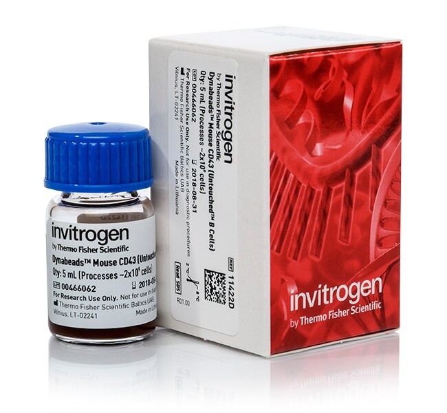 Dynabeads&trade; Mouse CD43 (Untouched&trade; B Cells)
