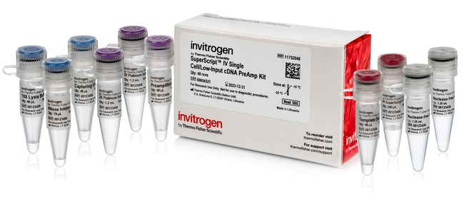 SuperScript™ IV Single Cell/Low Input cDNA PreAmp Kit