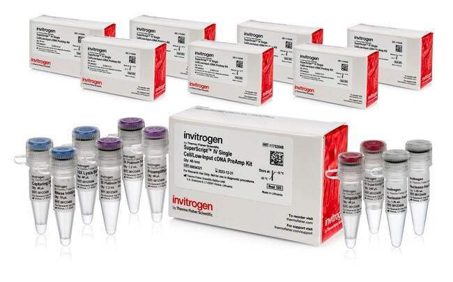 SuperScript™ IV Single Cell/Low Input cDNA PreAmp Kit