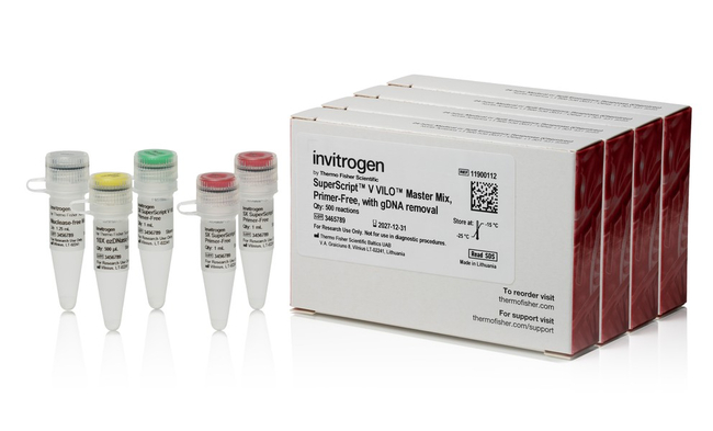 SuperScript V VILO Master Mix, Primer-Free, with gDNA Removal, 500 rxns