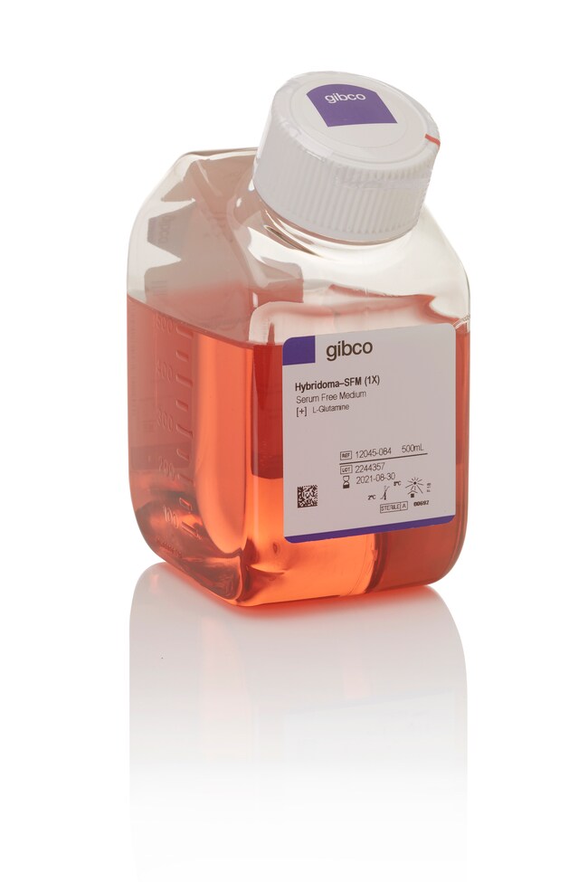 Hybridoma-SFM