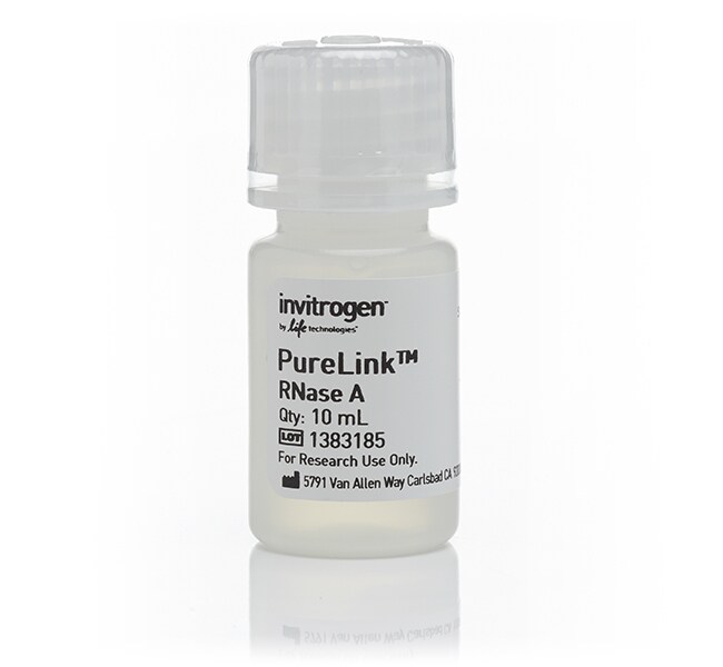 PureLink&trade; RNase A (20 mg/mL)