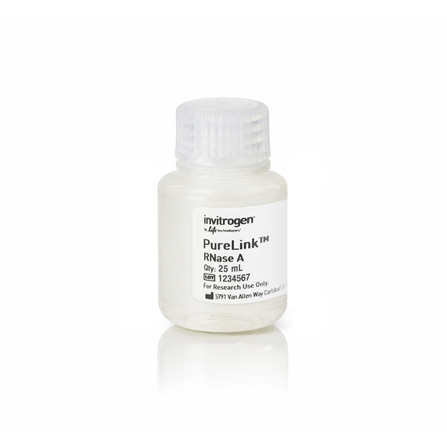 PureLink™ RNase A (20 mg/mL)