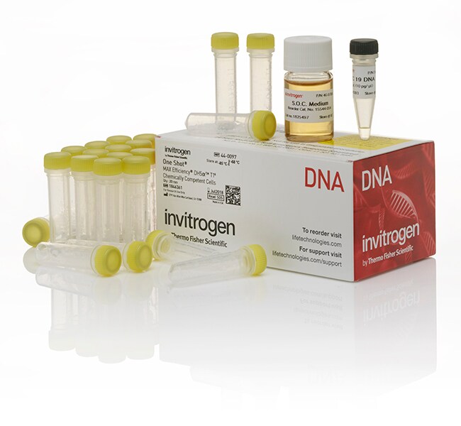 One Shot&trade; MAX Efficiency&trade; DH5&alpha;-T1<sup>R</sup> 感受态细胞
