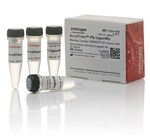 AccuPrime&trade; <i>Pfx</i> SuperMix