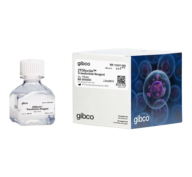 293fectin™ Transfection Reagent
