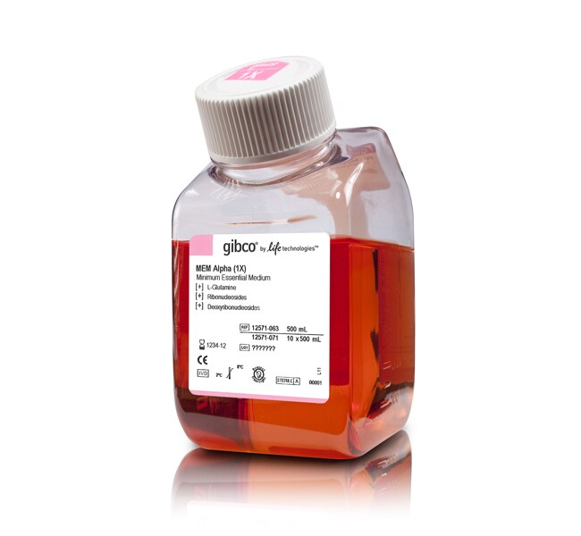 MEM &alpha;, nucleosides
