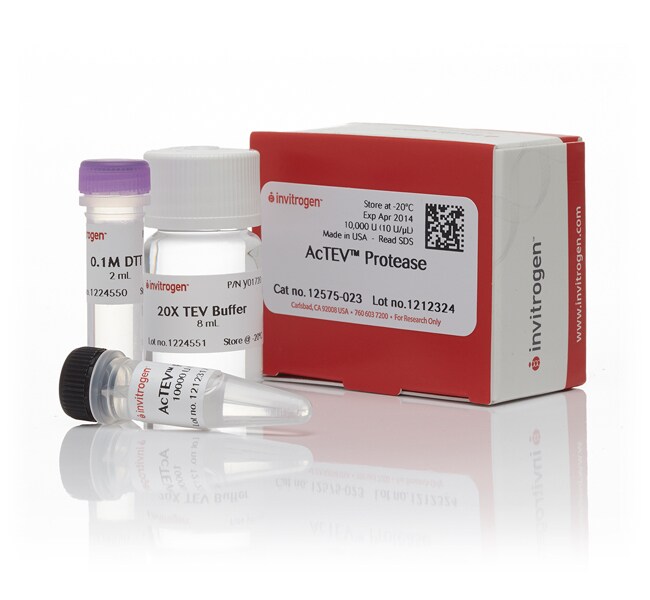 AcTEV&trade; Protease