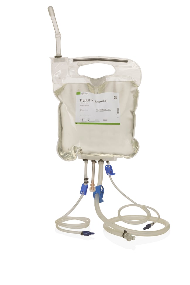 TrypLE&trade; Express Enzyme (1X), no phenol red