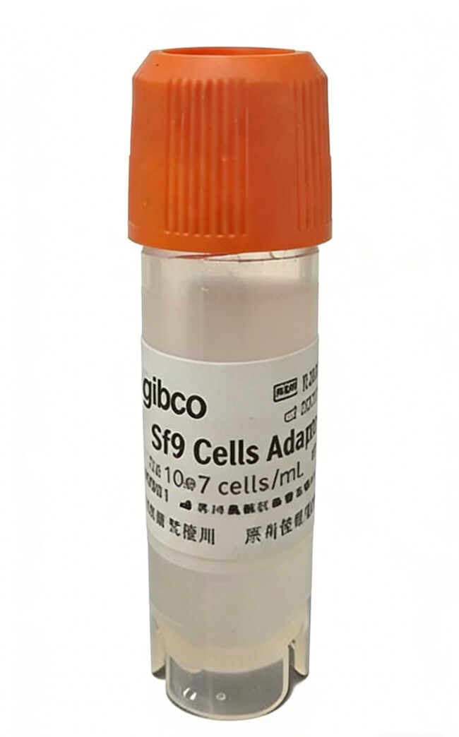 Sf9 Cells in Sf-900™ III SFM