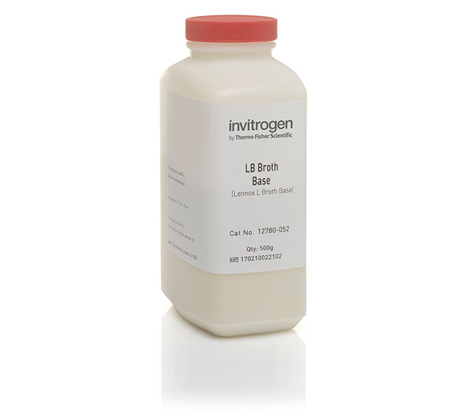 LB 肉汤基础培养基