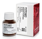 Dynabeads&trade; SILANE Genomic DNA Kit