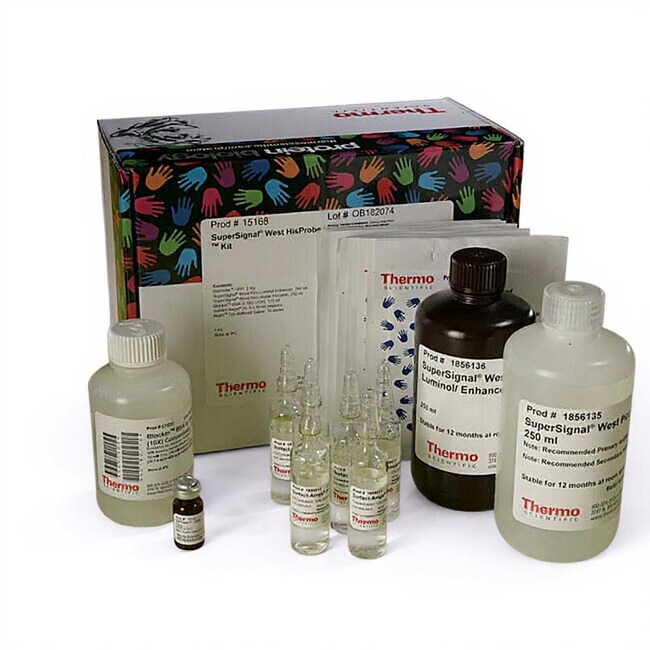 SuperSignal&trade; West HisProbe 试剂盒